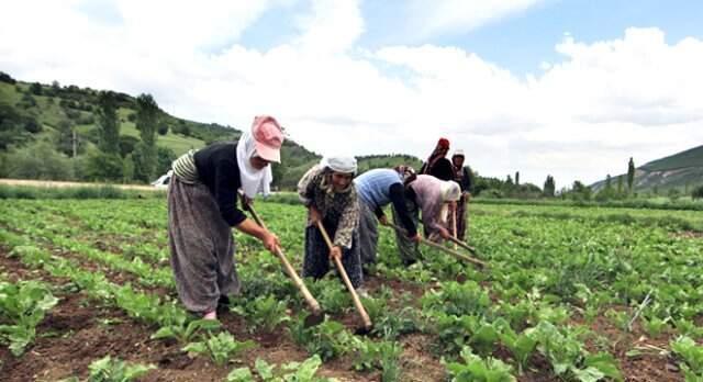 Çiftçiye Destekleme Ödemeleri Bugün Başlıyor! Toplamda 2,9 Milyar Lira Ödeme Yapılacak