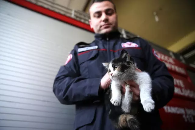 Motora Sıkışan Yavru Kediyi Sahiplendi