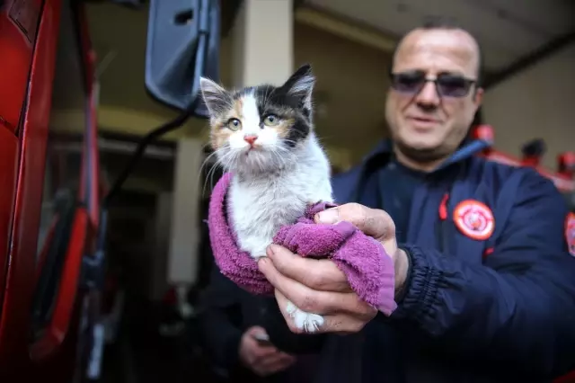 Motora Sıkışan Yavru Kediyi Sahiplendi