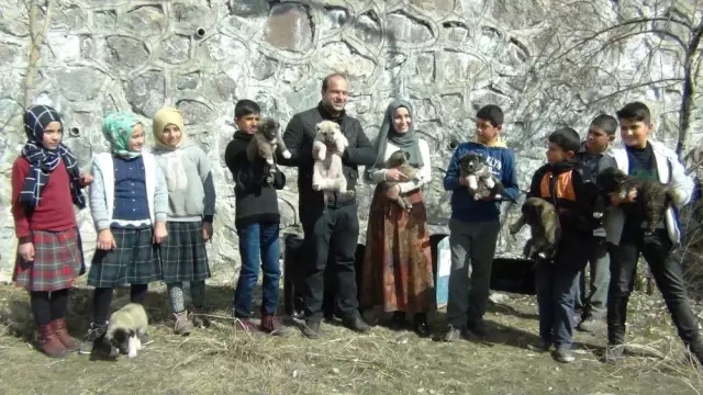 Sokaktaki Yavru Köpeklere Öğrenciler ve Öğretmenler Sahip Çıktı
