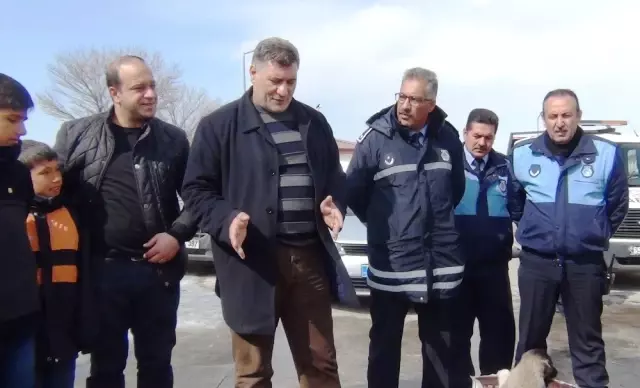 Sokaktaki Yavru Köpeklere Öğrenciler ve Öğretmenler Sahip Çıktı