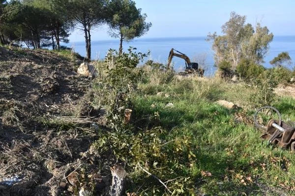 Kuşadası'ndaki Alan İçin 'Kafeterya Olmasın Botanik Park'a Dahil Edilsin' Talebi