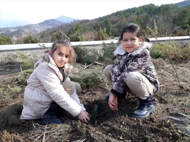 Yenipazar'da 300 Fidan Toprakla Buluşturuldu Yenipazar'da 300 Fidan Toprakla Buluşturuldu