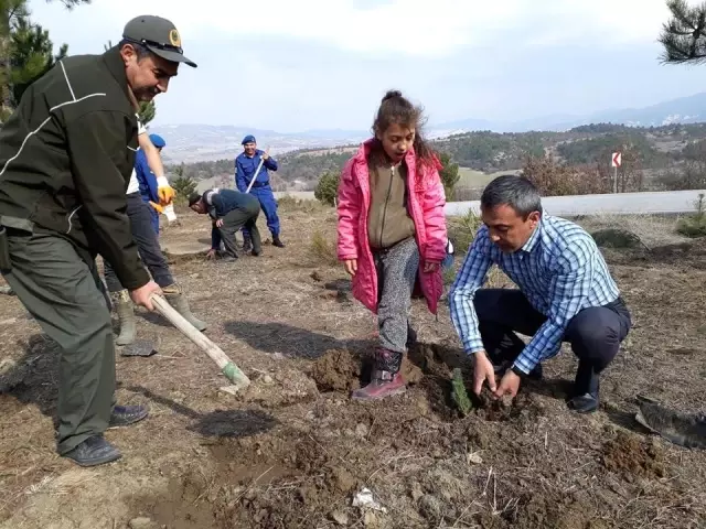 Yenipazar'da Yenipazar'da