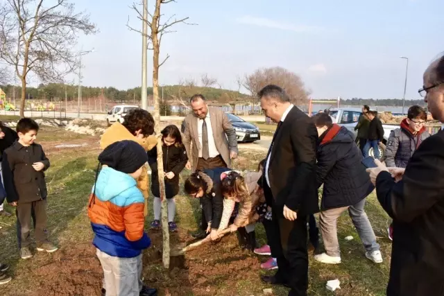 Bilecik'te 11 Çınar ve Ihlamur Ağacı Fidanı Dikildi Bilecik'te 11 Çınar ve Ihlamur Ağacı Fidanı Dikildi
