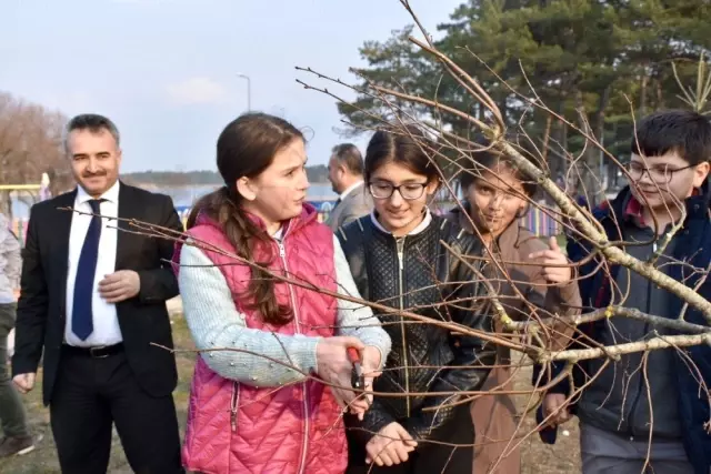 Bilecik'te 11 Çınar ve Ihlamur Ağacı Fidanı Dikildi Bilecik'te 11 Çınar ve Ihlamur Ağacı Fidanı Dikildi