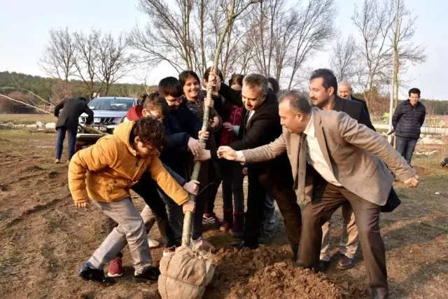 Bilecik'te 11 Çınar ve Ihlamur Ağacı Fidanı Dikildi Bilecik'te 11 Çınar ve Ihlamur Ağacı Fidanı Dikildi
