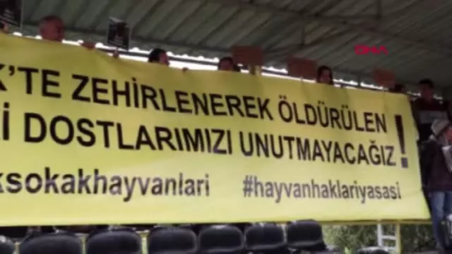 Bodrum’da Köpeklerin Zehirlenmesi, Tribünlerde Protesto Edildi