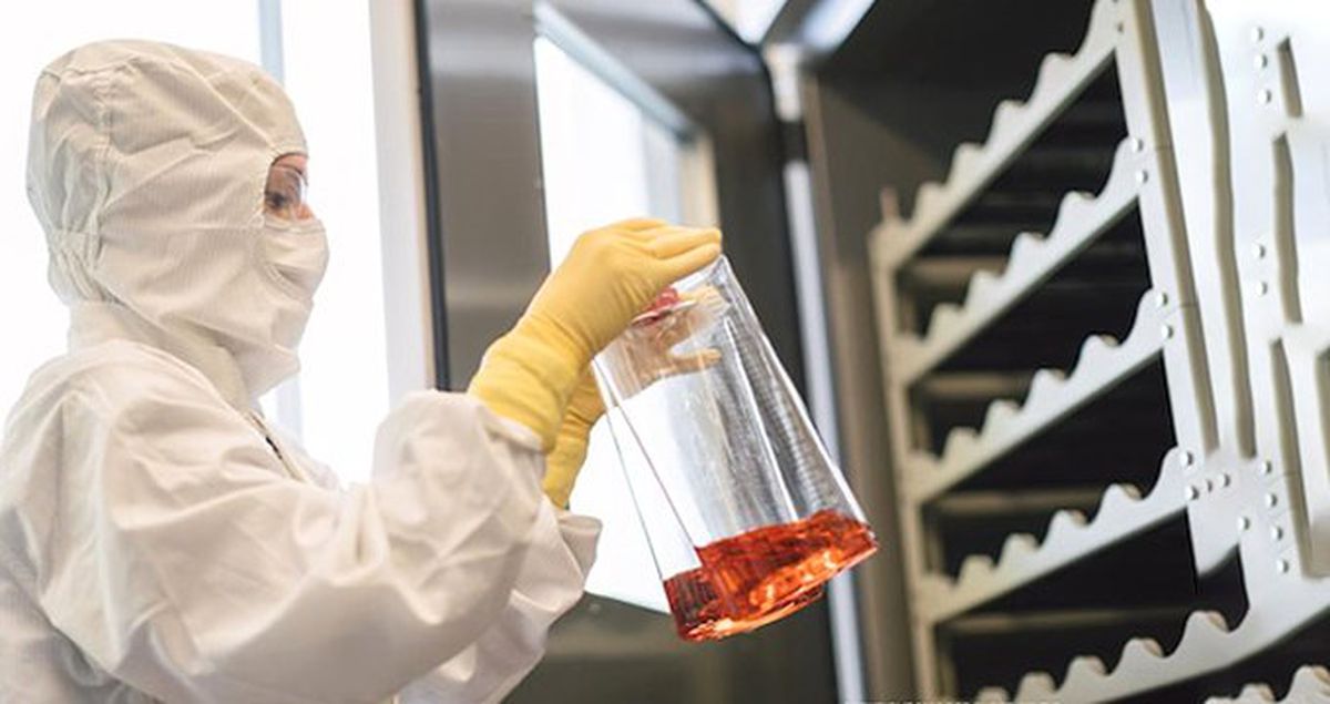 Eczacılık devi Roche, Spark Therapeutics'i 4,8 Milyar Dolara Satın Alacak