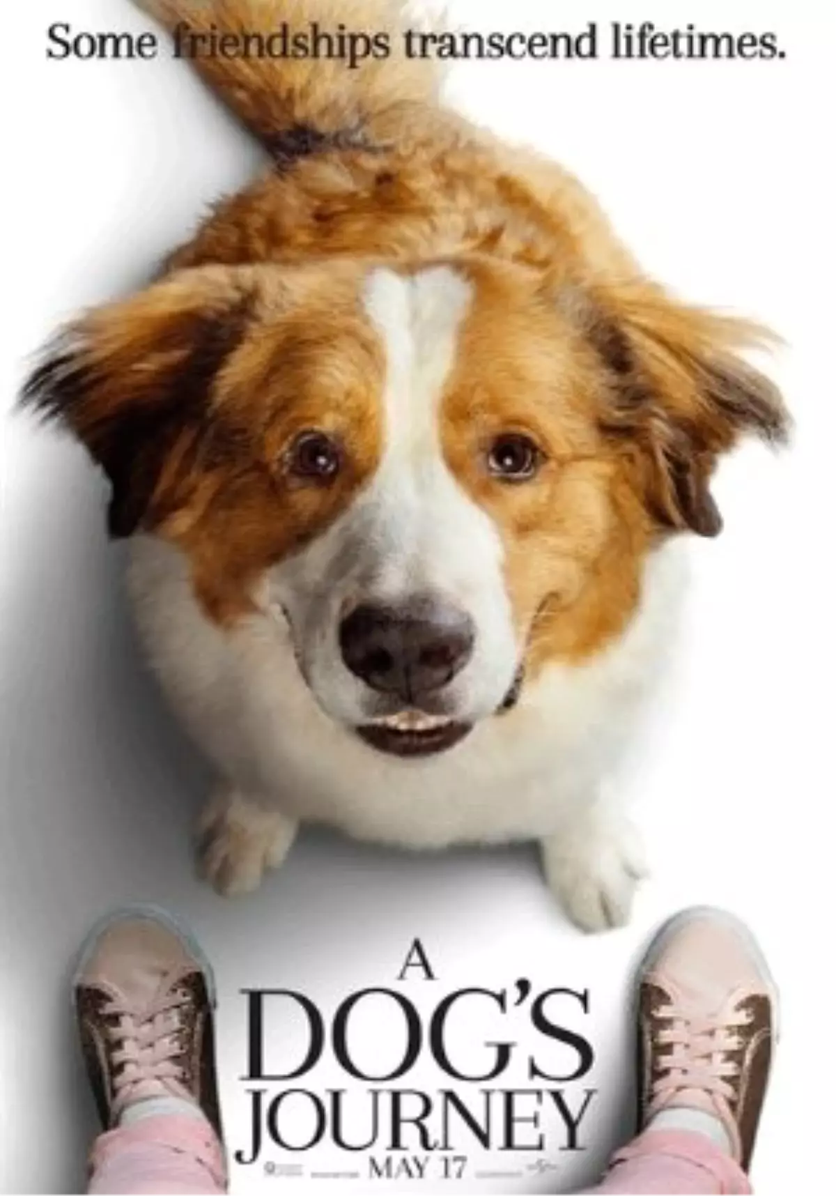 A Dog's Journey Filmi