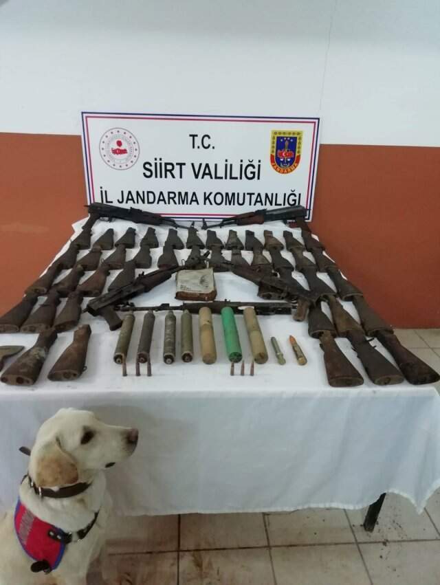Ağaç Kovuğunda Teröristlere Ait Silah ve Mühimmat Bulundu