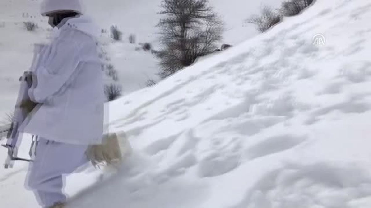 Van'da Terör Operasyonu