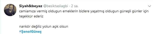 Beşiktaşlı Taraftarlar, Milli Takım ile Anlaşan Şenol Güneş'e Tepki Gösterdi