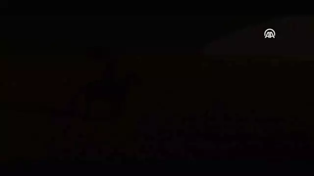 Sinema - Musabbar Sinema - Musabbar