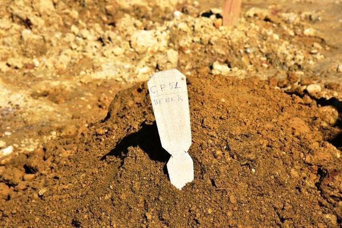 Bırakıldığı Teneşirde Ölen Bebek, 'Çp 51' Koduyla Toprağa Verildi