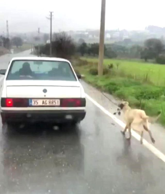 KÃ¶peÄini Otomobile BaÄlayÄ±p Kilometrelerce KoÅturan SÃ¼rÃ¼cÃ¼ HakkÄ±nda Ä°Ålem YapÄ±ldÄ±