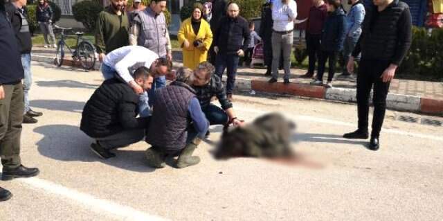 Sürücünün Çarpıp 'Ne Olur Ölme' Diye Başında Ağladığı Genç Kız Yaşamını Yitirdi