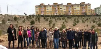Eskisehir Odunpazari Haberleri Eskisehir Odunpazari Haber