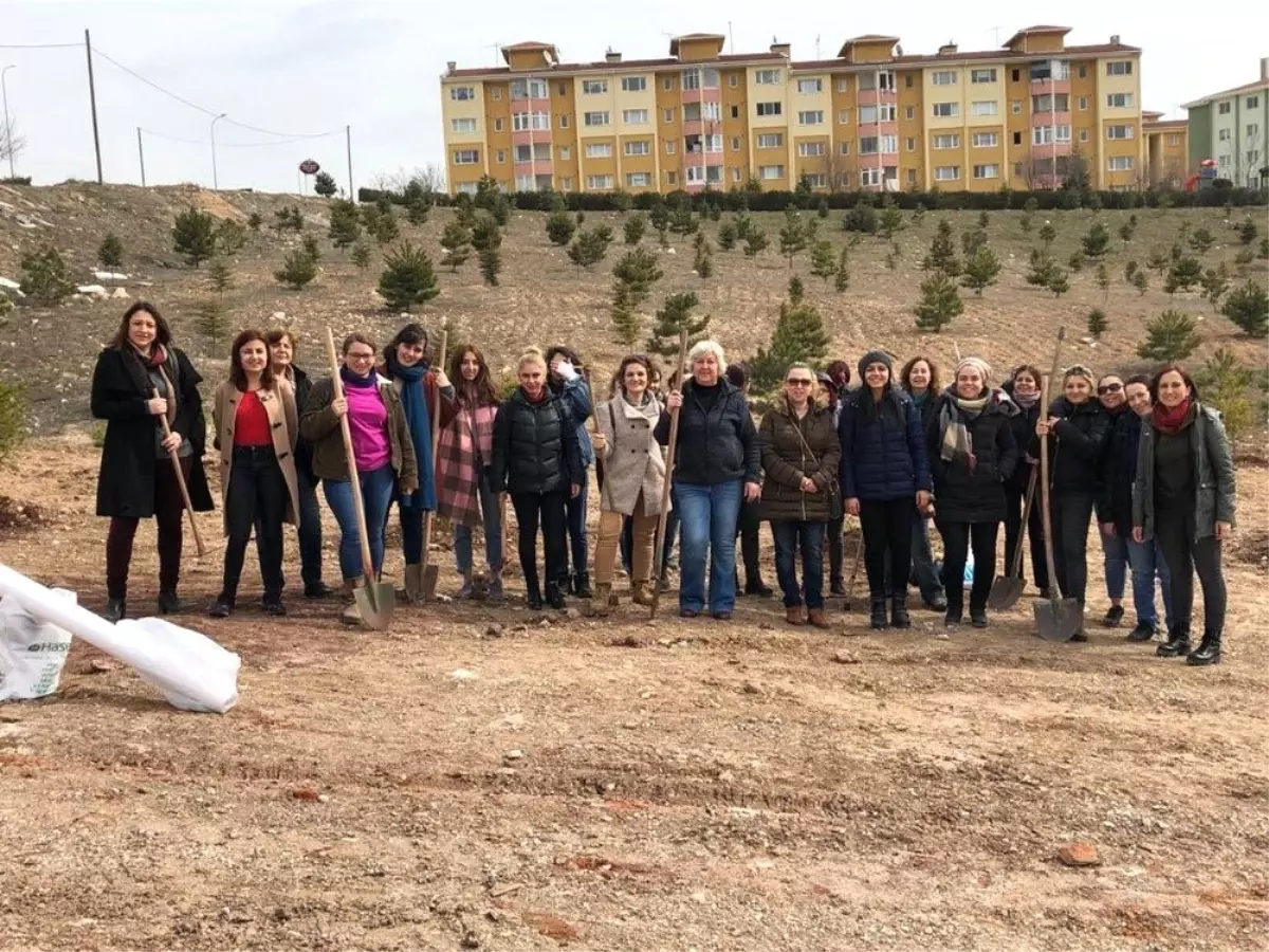 Kadın Cinayetlerinde Hayatını Kaybeden Kadınlar Anısına Fidan Diktiler