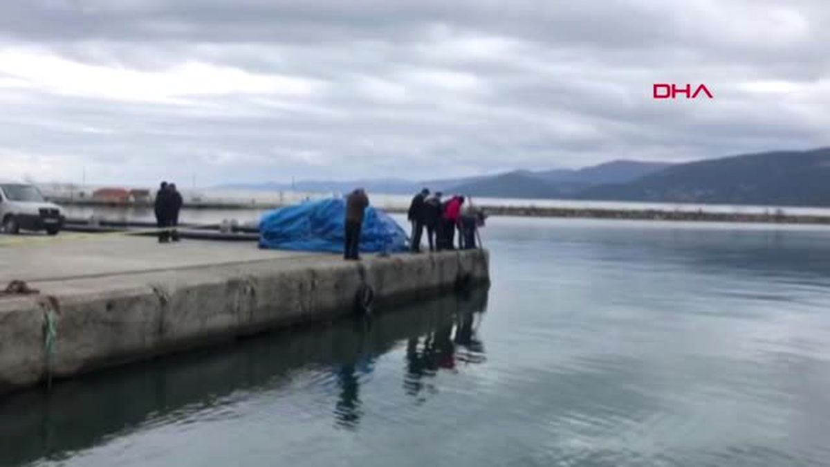 Sinop Gerze Limanı'nda Erkek Cesedi Bulundu