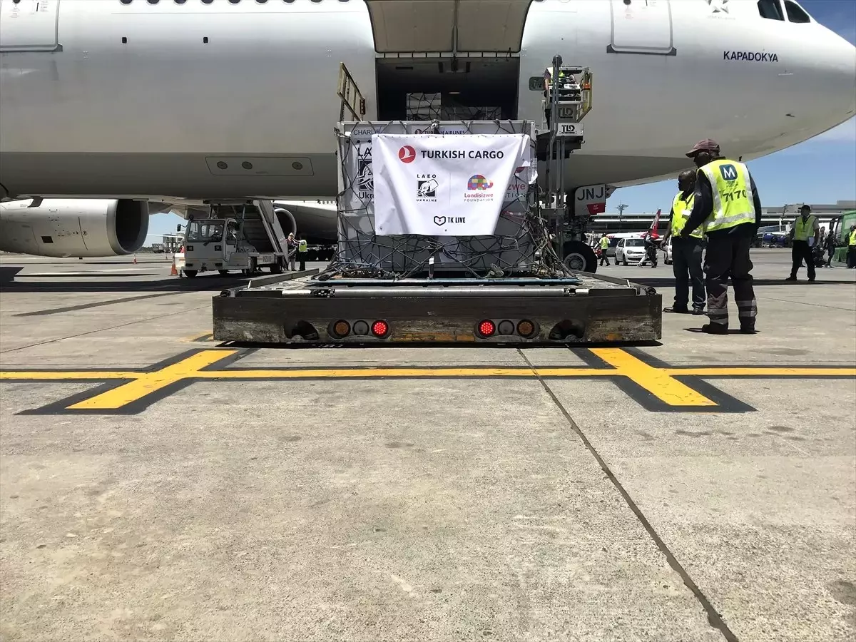 Turkish Cargo, Sirk Aslanlarını Doğal Yaşam Alanlarına Ücretsiz Taşıdı