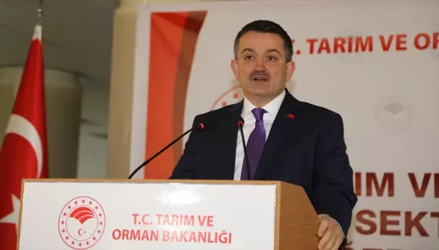 Türkiye Tarımsal Hasılada Avrupa Birincisi'