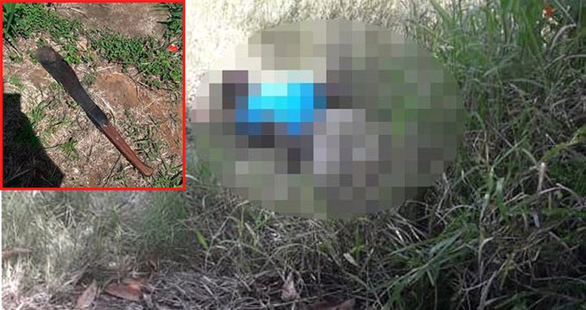 Kızgın Koca, Hamile Eşine Cinsel İstismarda Bulunan Sapığı Palayla Doğradı