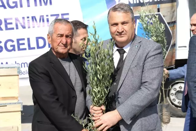 Fidanlar ve Kovanlar Yunusemre'den Fidanlar ve Kovanlar Yunusemre'den