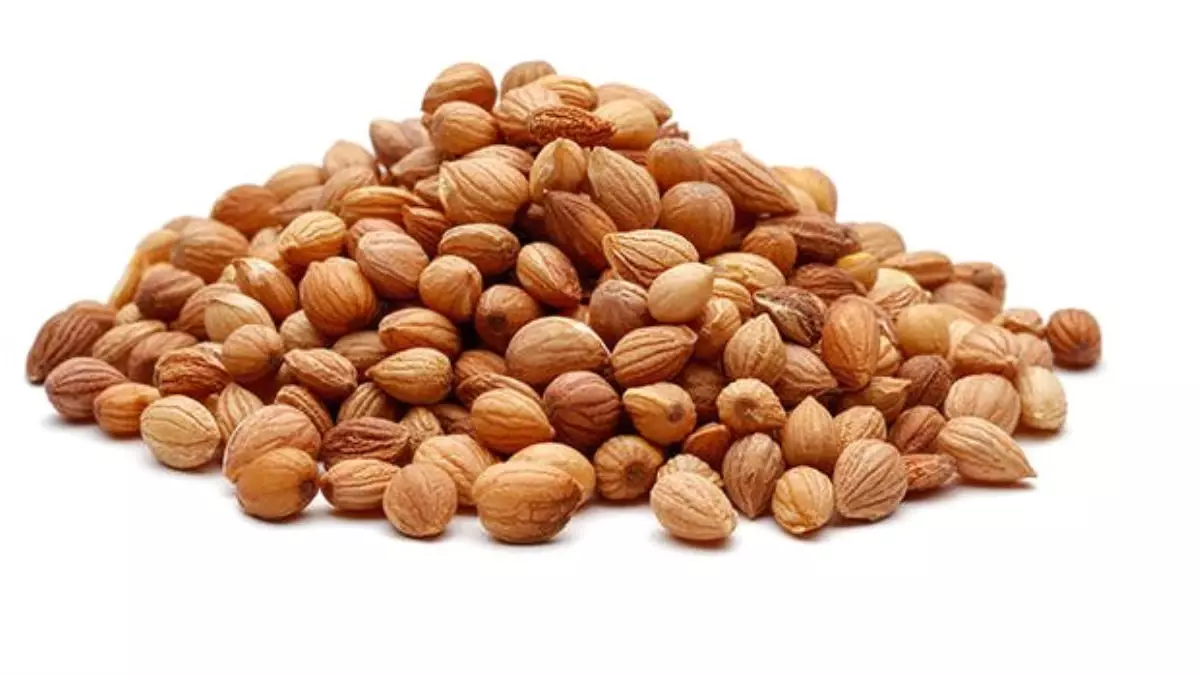 Mahlep Nedir? Mahlebin Faydaları Neler?