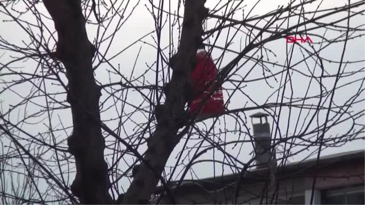 Bingöl Öğrenciler Kuşlar İçin Damacanadan Yuva ve Yemlik Yaptı