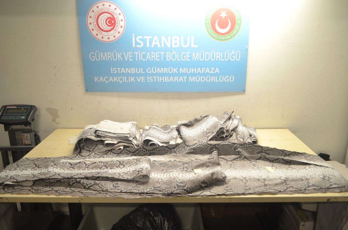 Atatürk Havalimanı'nda 'Yılan Derisi' Operasyonu
