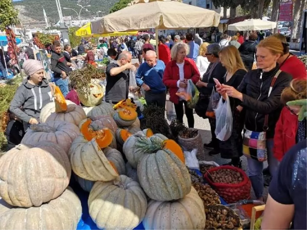 Bodrum'da 'Acı Ot Festivali' Renkli Görüntülerle Başladı