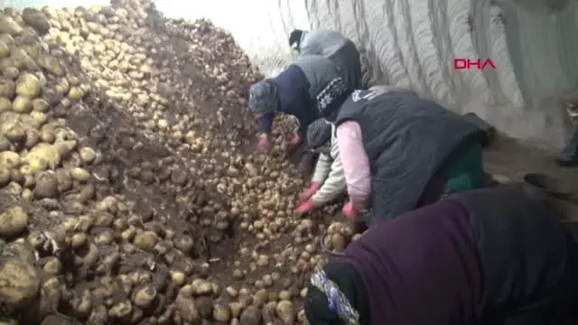 Nevşehir - 8 Mart Dünya Kadınlar Gününü Çalışarak Geçirdiler Nevşehir - 8 Mart Dünya Kadınlar Gününü Çalışarak Geçirdiler