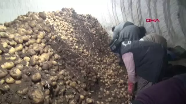 Nevşehir - 8 Mart Dünya Kadınlar Gününü Çalışarak Geçirdiler