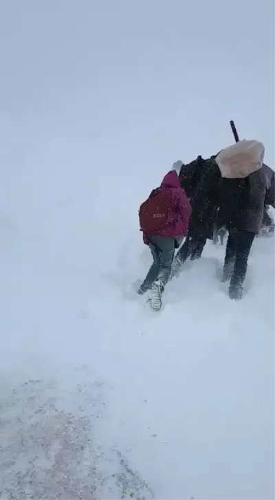 Sürücülerin Yol Tepkisi