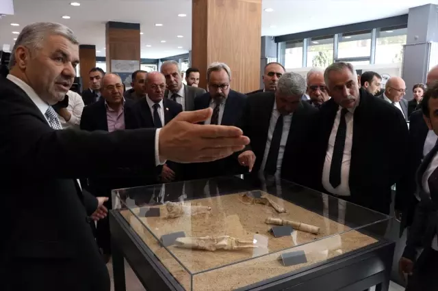 Kayseri'de 7,5 Milyon Yıllık Fosiller Sergileniyor Kayseri'de 7,5 Milyon Yıllık Fosiller Sergileniyor