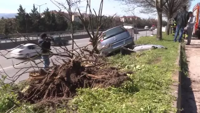 Otomobili Karayoluna Düşmekten Ağaç Kurtardı Otomobili Karayoluna Düşmekten Ağaç Kurtardı