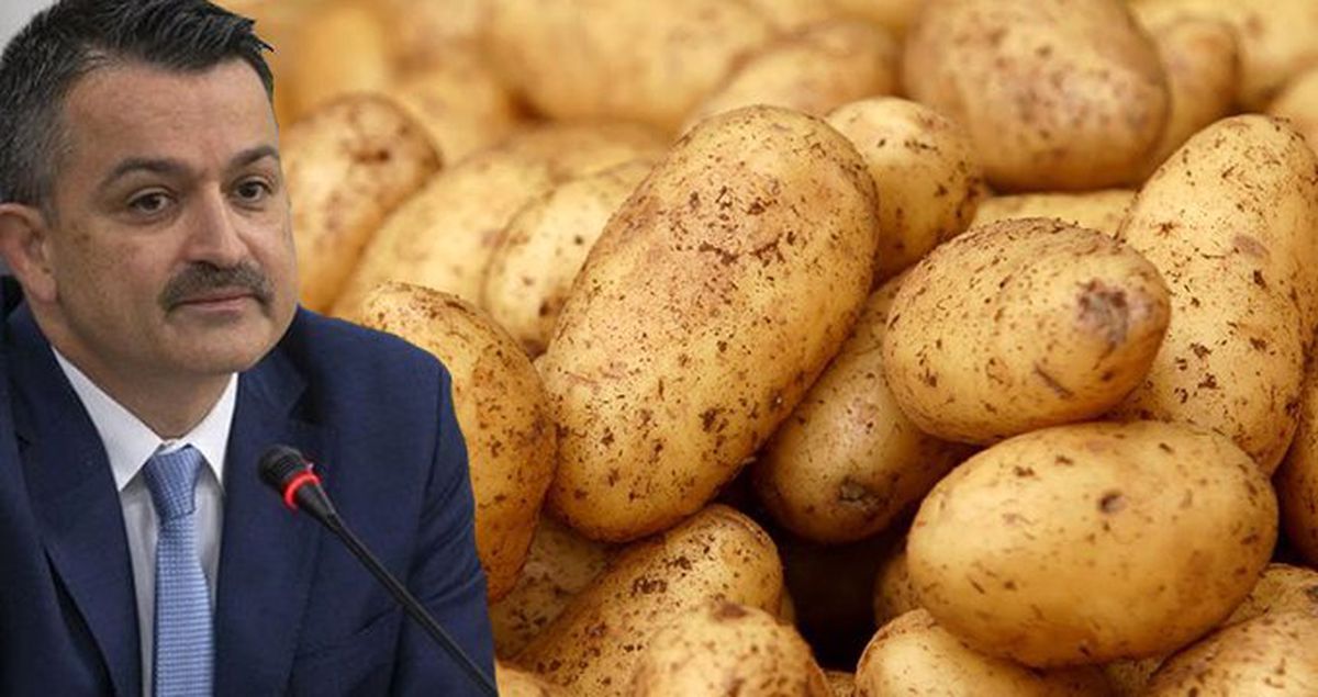 Bakan Pakdemirli'nin Danışmanı Olduğu Şirketten Patates Alınacak mı?