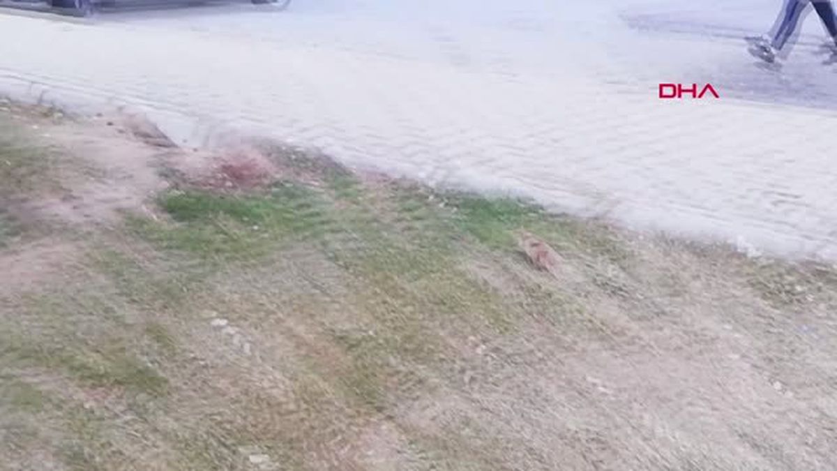 Kayseri Gelengiler, Erciyes Üniversitesi Kampüsünde Kendini Gösterdi