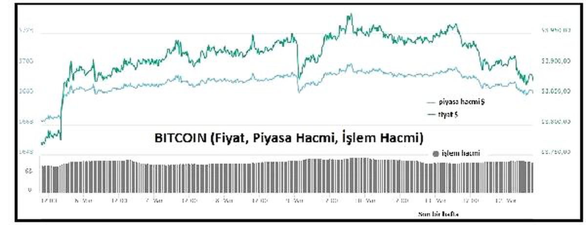 Kriptopara – Genel Düşüşün Etkisiyle En Büyük 100'den 75'i Düştü