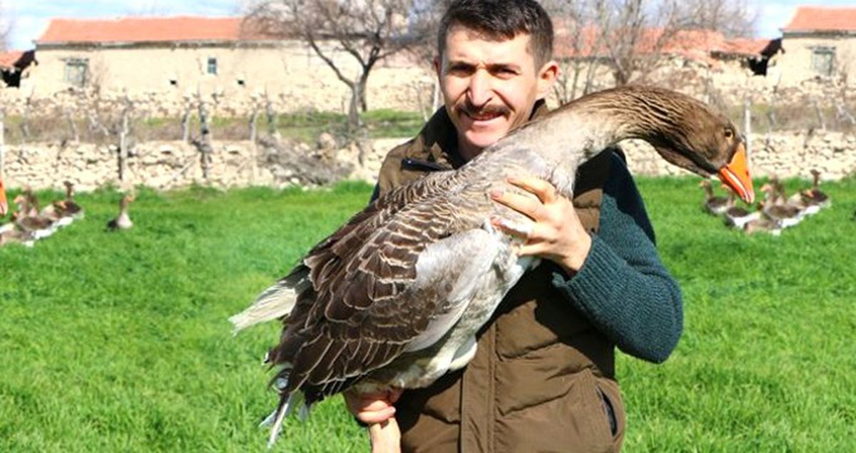 Hediye Edilen 7 Kazı Çoğaltan Girişimci Irak'a 100 Bin Dolarlık Kaz Sattı