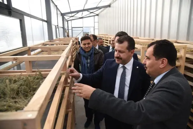 Yılmaz,