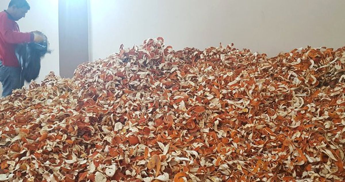 Narenciye Üreticileri Portakalın Kabuğunu 6 Liradan Avrupa'ya İhraç Ediyor