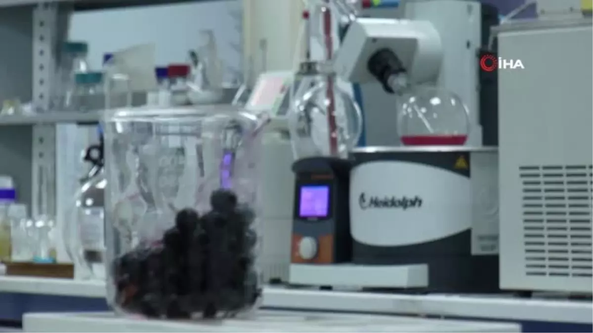 Zayıflamanın Yeni Trendi 'Aronia Meyvesi'...1 Kaşığı Günlük 1 Kilogram Meyveye Eş Değer