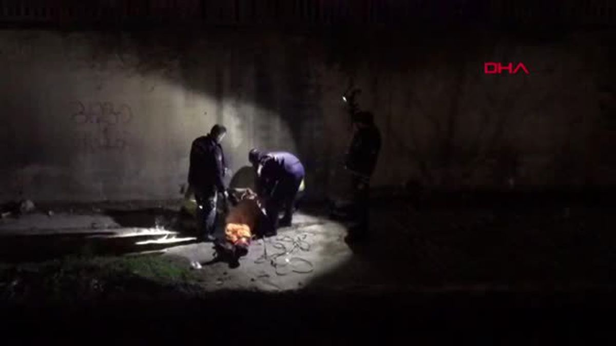 Zeytinburnu'nda Parkta Dövüp Dereye Attılar