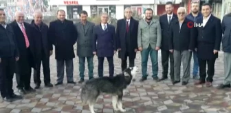 MHP Seçim İrtibat Bürosunun Önünde Uluyan Kurt Köpeği Şaşırttı