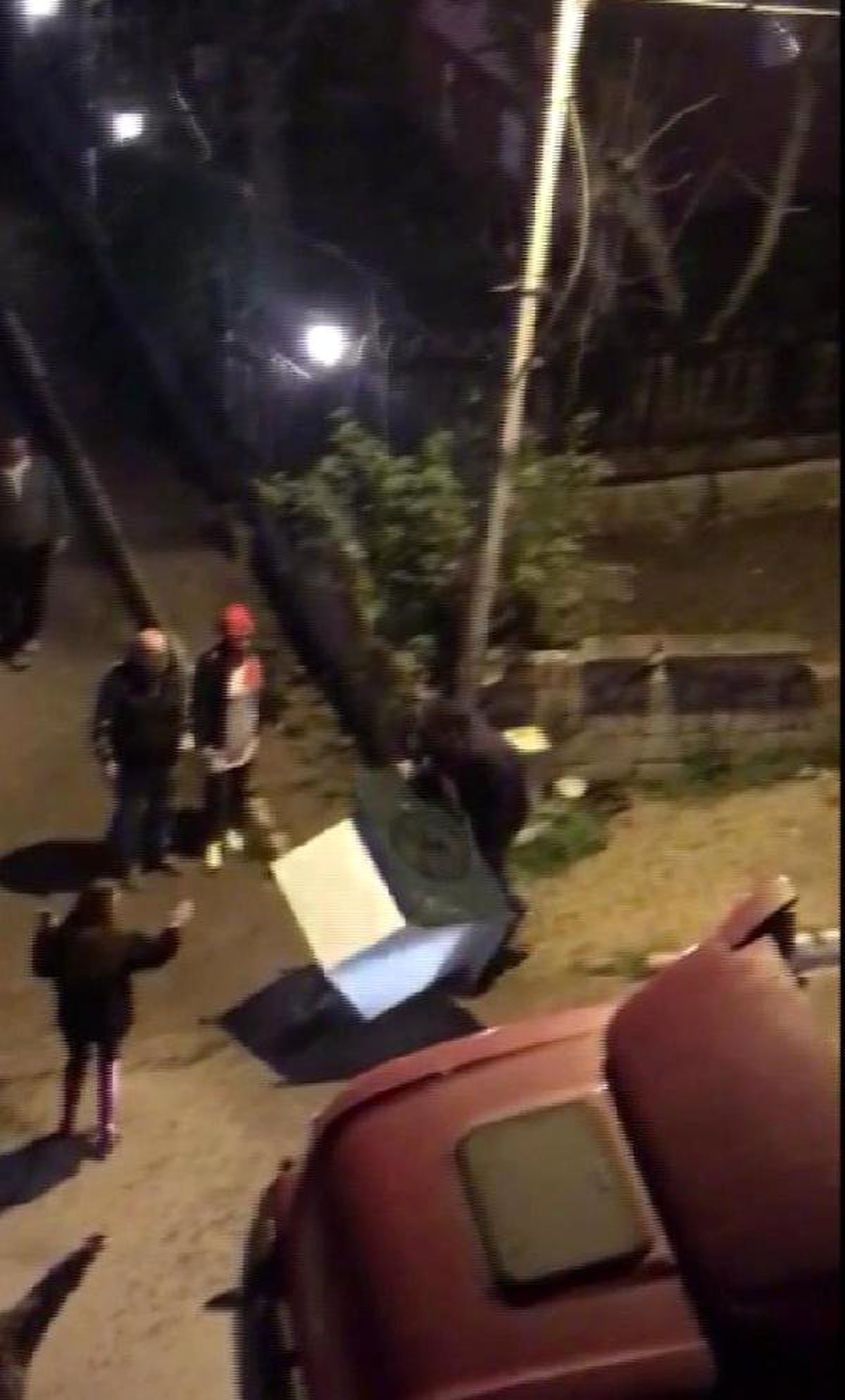 Önce Hayvanlara Sonra Hayvanseverlere Saldırdı