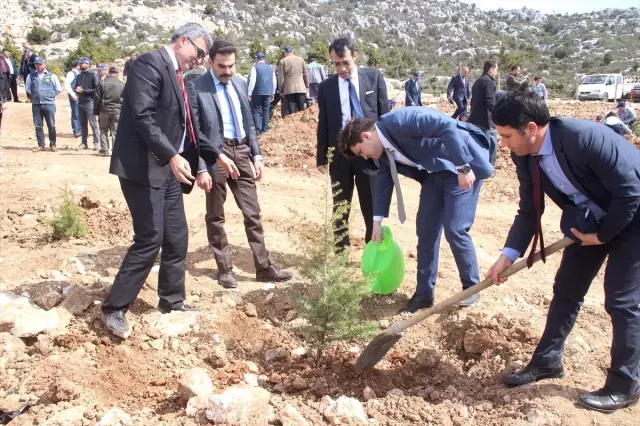 21 Mart Dünya Ormancılık Günü ve Orman Haftası 21 Mart Dünya Ormancılık Günü ve Orman Haftası