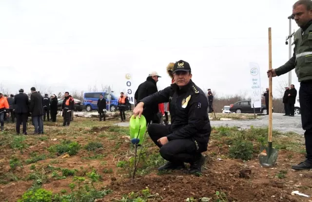 Adalet Ormanı'nda Meyve Fidanları Toprakla Buluşturuldu Adalet Ormanı'nda Meyve Fidanları Toprakla Buluşturuldu