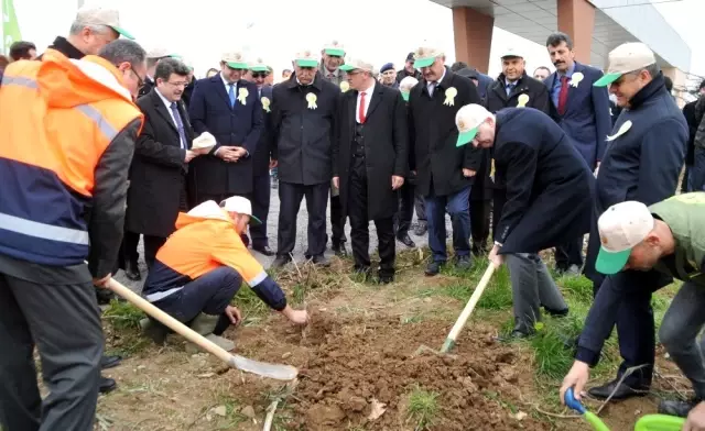 Adalet Ormanı'nda Meyve Fidanları Toprakla Buluşturuldu Adalet Ormanı'nda Meyve Fidanları Toprakla Buluşturuldu
